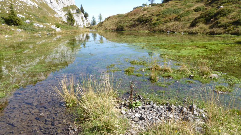 Laghi.......del TRENTINO